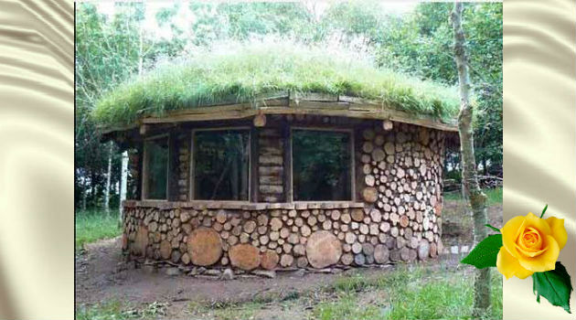 дом из дерева