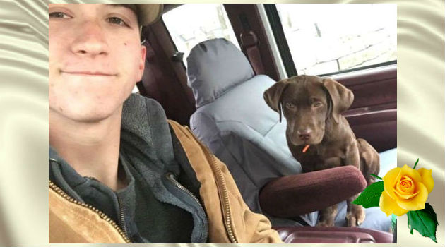собака спасла своего хозяина