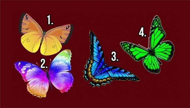 Тест «Бабочка желаний»