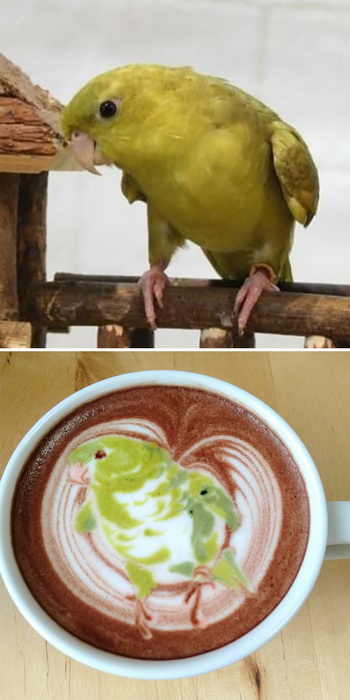 Японский художник рисует птиц на чашке с кофе. Это удивительные фото