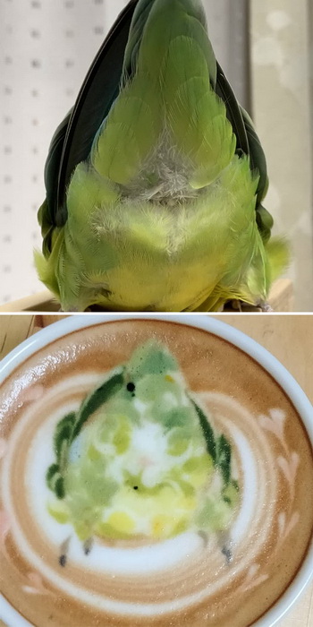 Японский художник рисует птиц на чашке с кофе. Это удивительные фото