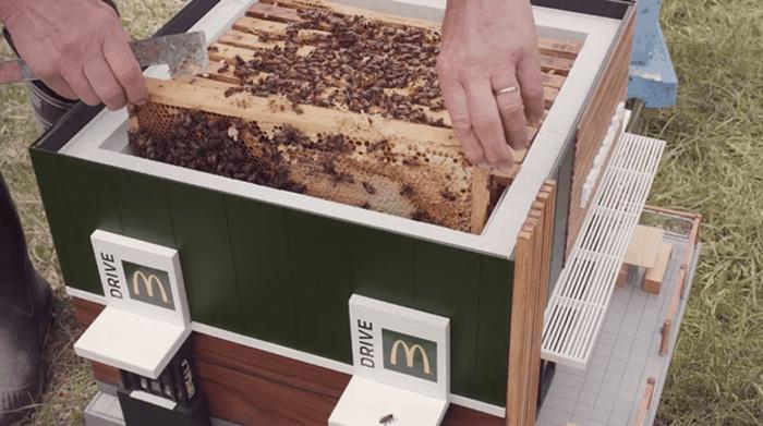 McDonald’s открывает крошечный ресторан для пчел