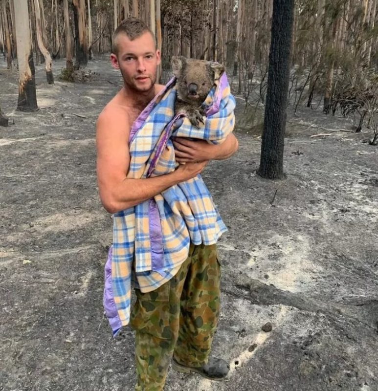 Добрая история о людях, которые спасают коал из пожаров: достойно уважения!