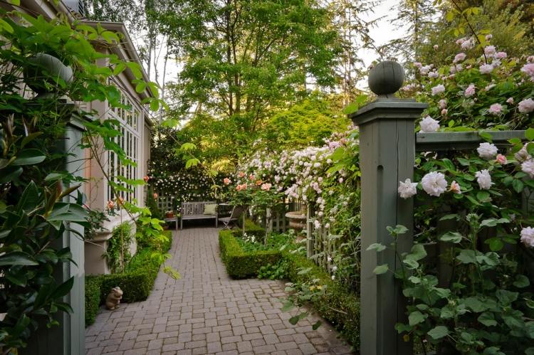 Плетистые розы — аристократическая красавица в Вашем саду