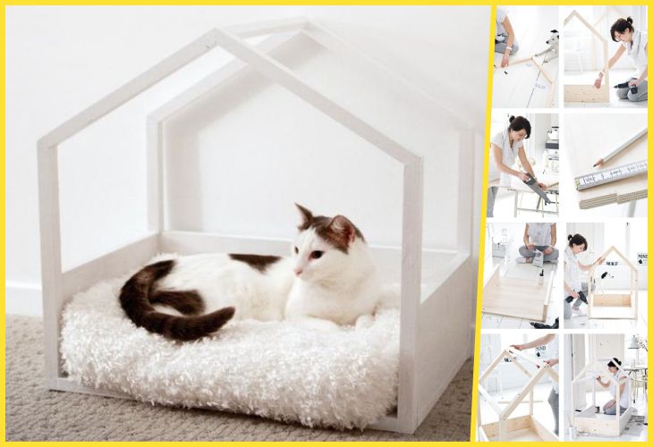 Домики для кошек: удачные идеи, обеспечивающие питомцам максимум комфорта