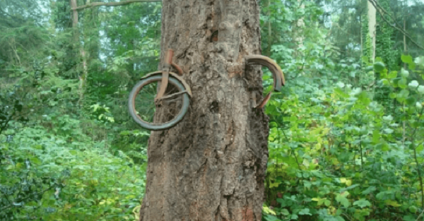 В 1914 году молодой человек ушел в армию и спрятал велосипед в лесу.