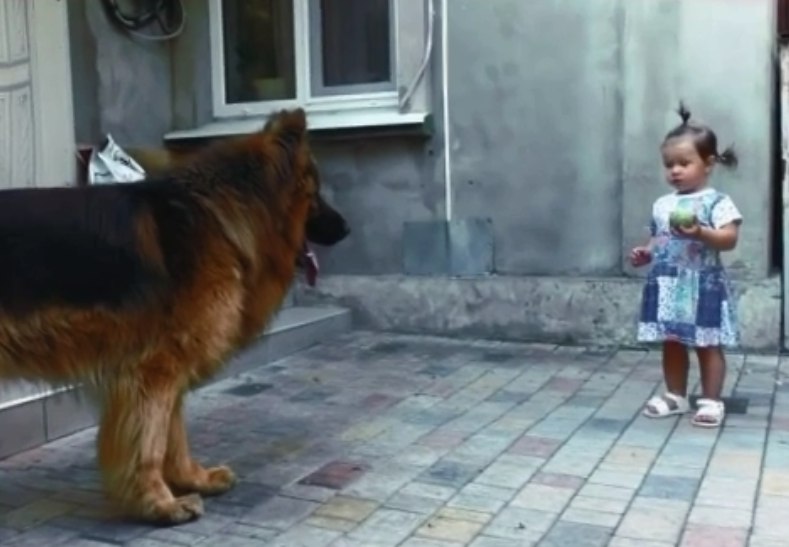 Большого пса, жившего на рынке, никто не любил, но дочурка его пожалела. Он заслуживал хорошего отношения