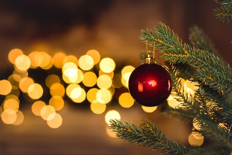 Единственная верная дата для украшения новогодней елки в 2023 году