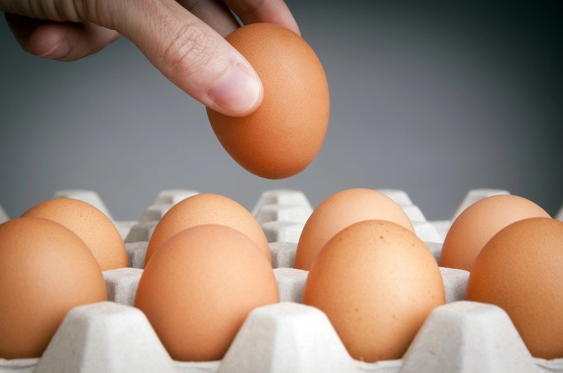 Какие опасности подстерегают хозяйку при покупке яиц в коробке